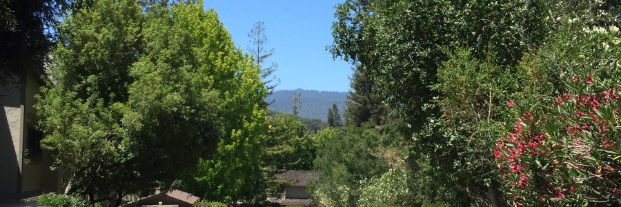 Walking around Menlo Park - VC Capital of the World