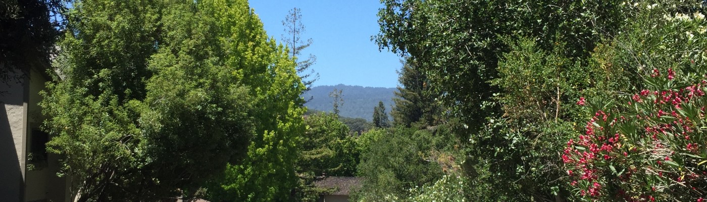 Walking around Menlo Park - VC Capital of the World