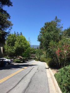 Walking around Menlo Park - VC Capital of the World